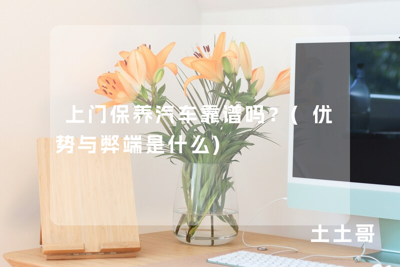 上门保养汽车靠谱吗?(优势与弊端是什么) 上门保养汽车靠谱吗?(优势与弊端是什么)