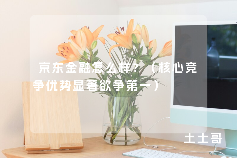 京东金融怎么样?(核心竞争优势显著欲争第一) 京东金融怎么样?(核心竞争优势显著欲争第一)