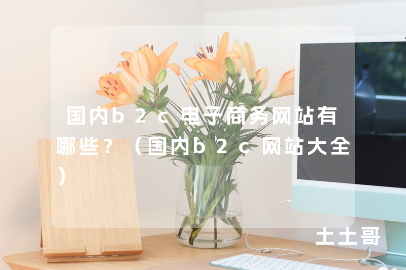 国内b2c电子商务网站有哪些?(国内b2c网站大全) 国内b2c电子商务网站有哪些?(国内b2c网站大全)