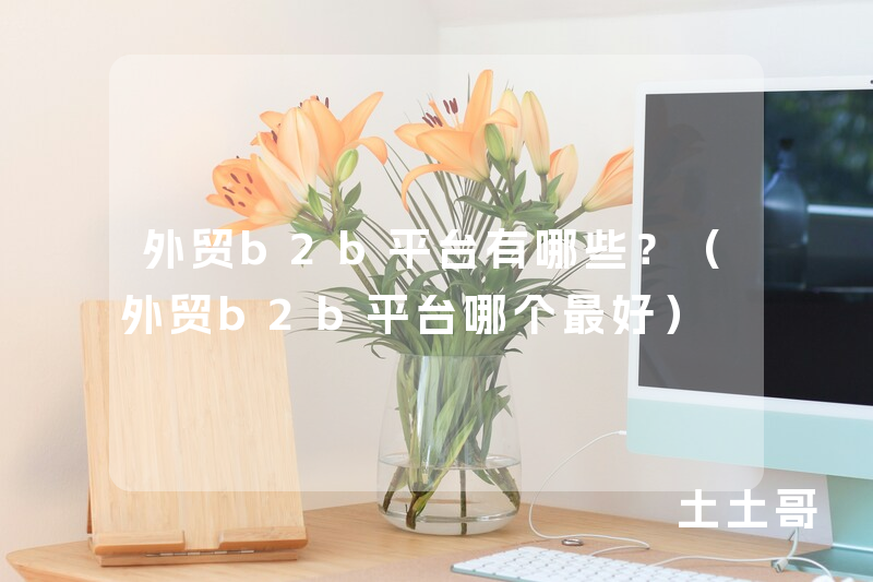 外贸b2b平台有哪些?(外贸b2b平台哪个最好) 外贸b2b平台有哪些?(外贸b2b平台哪个最好)