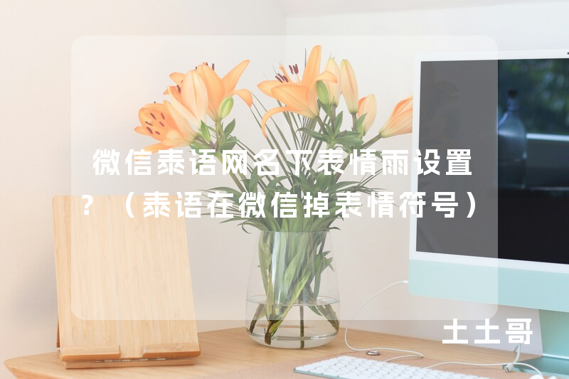 微信泰语网名下表情雨设置?(泰语在微信掉表情符号) 微信泰语网名下表情雨设置?(泰语在微信掉表情符号)