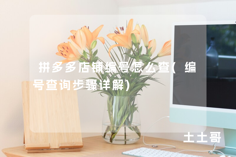 拼多多店铺编号怎么查(编号查询步骤详解) 拼多多店铺编号怎么查(编号查询步骤详解)