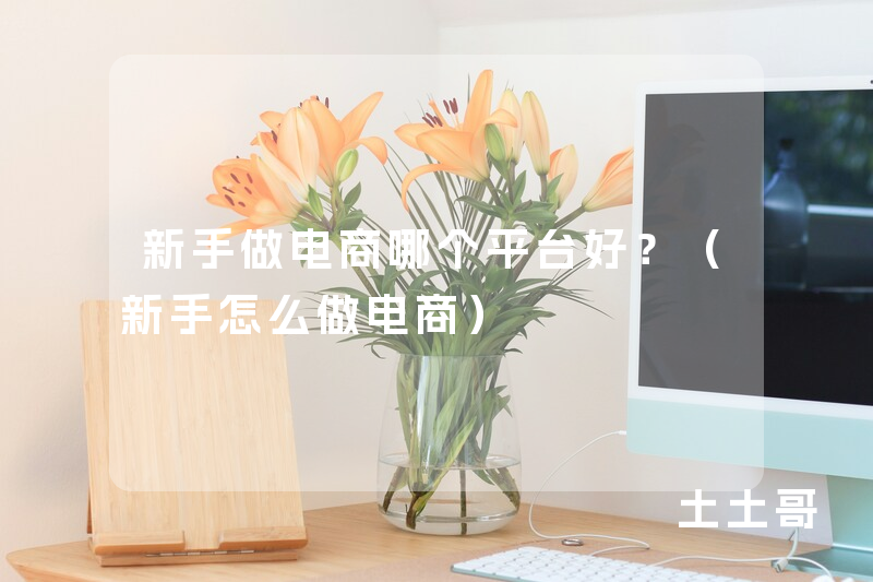 新手做电商哪个平台好?(新手怎么做电商) 新手做电商哪个平台好?(新手怎么做电商)