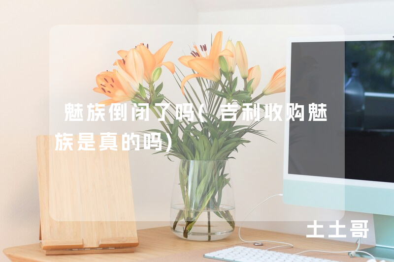 魅族倒闭了吗(吉利收购魅族是真的吗) 魅族倒闭了吗(吉利收购魅族是真的吗)