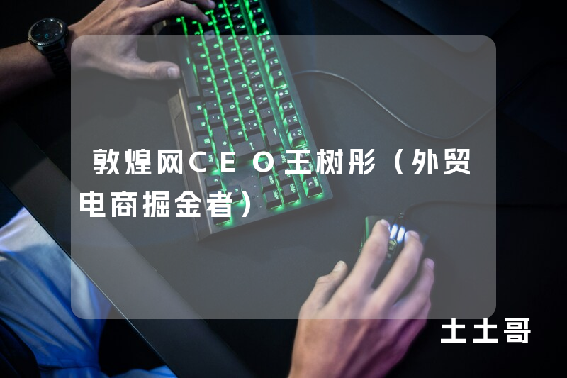 敦煌网CEO王树彤(外贸电商掘金者) 敦煌网CEO王树彤(外贸电商掘金者)