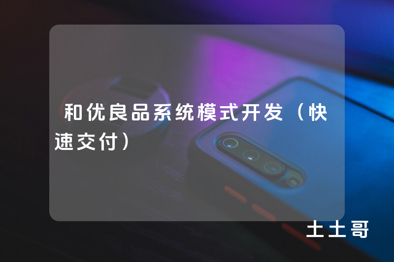 和优良品系统模式开发(快速交付) 和优良品系统模式开发(快速交付)