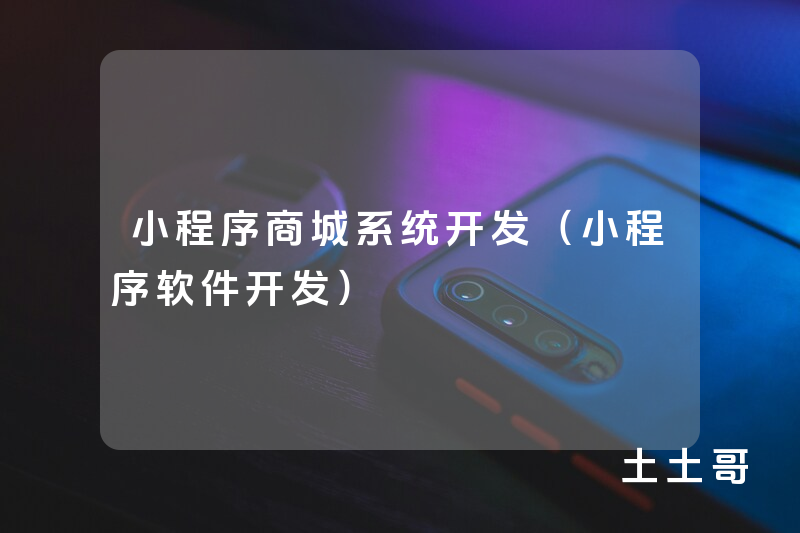 小程序商城系统开发(小程序软件开发) 小程序商城系统开发(小程序软件开发)