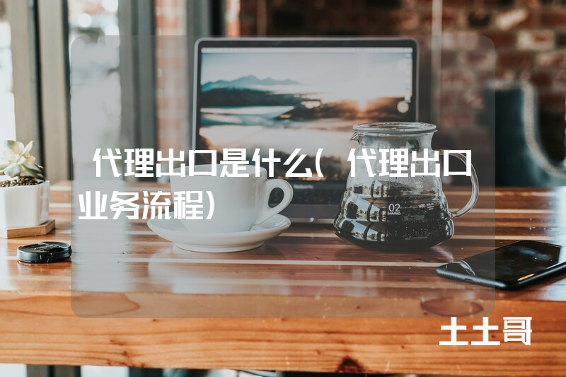 代理出口是什么(代理出口业务流程) 代理出口是什么(代理出口业务流程)