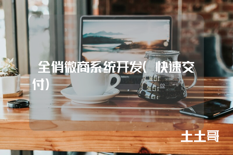 全俏微商系统开发(快速交付) 全俏微商系统开发(快速交付)