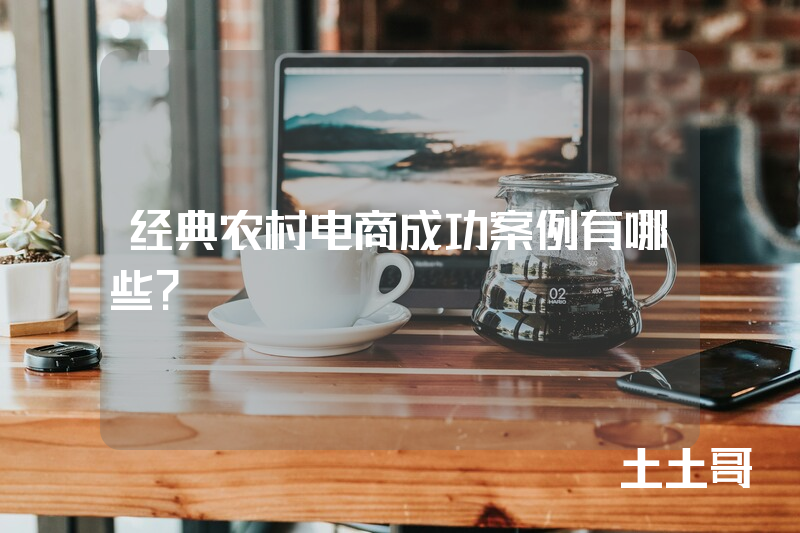 经典农村电商成功案例有哪些? 经典农村电商成功案例有哪些?