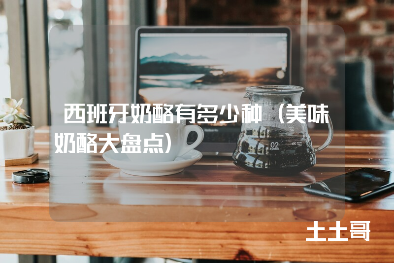 西班牙奶酪有多少种(美味奶酪大盘点) 西班牙奶酪有多少种(美味奶酪大盘点)