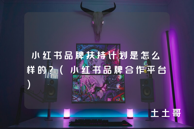 小红书品牌扶持计划是怎么样的?(小红书品牌合作平台) 小红书品牌扶持计划是怎么样的?(小红书品牌合作平台)