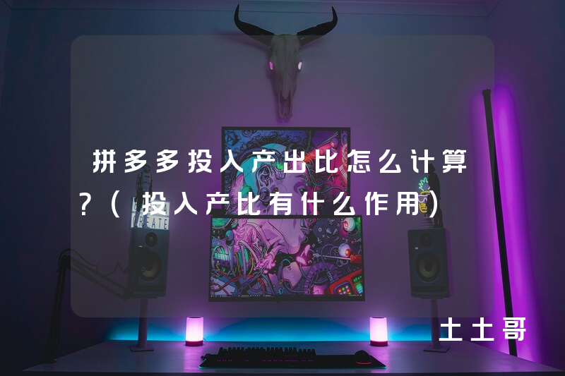 拼多多投入产出比怎么计算?(投入产比有什么作用) 拼多多投入产出比怎么计算?(投入产比有什么作用)