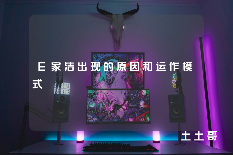 E家洁出现的原因和运作模式 E家洁出现的原因和运作模式