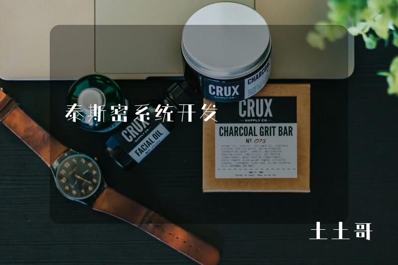 泰斯密系统开发 泰斯密系统开发