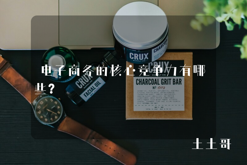 电子商务的核心竞争力有哪些? 电子商务的核心竞争力有哪些?