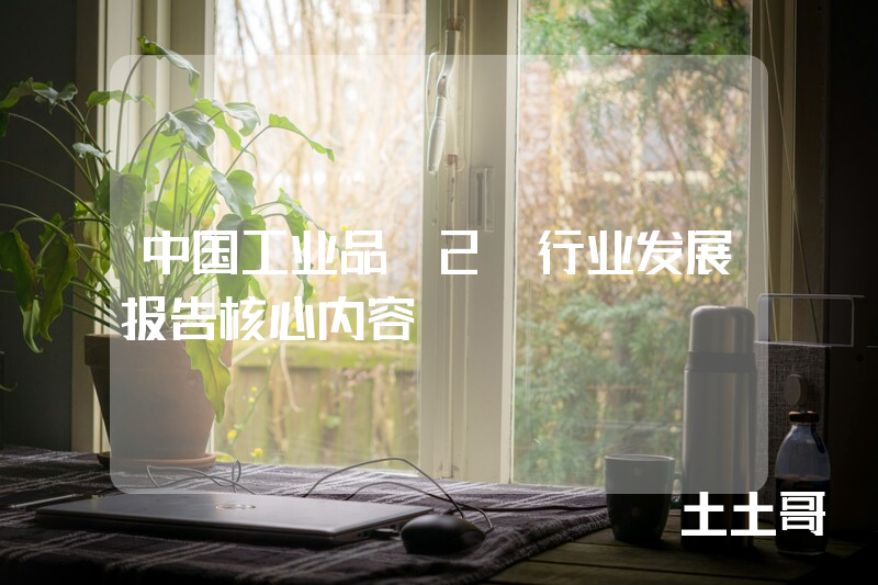 中国工业品B2B行业发展报告核心内容 中国工业品B2B行业发展报告核心内容
