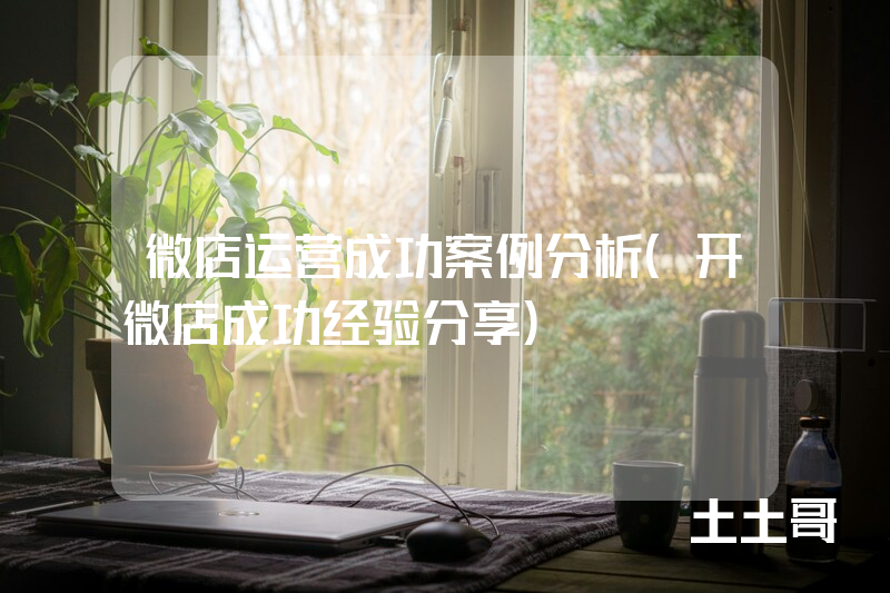 微店运营成功案例分析(开微店成功经验分享) 微店运营成功案例分析(开微店成功经验分享)
