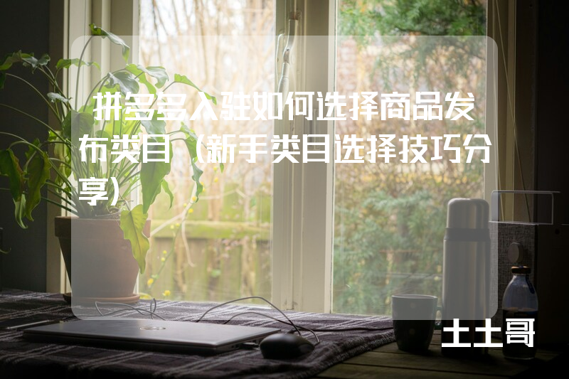 拼多多入驻如何选择商品发布类目(新手类目选择技巧分享) 拼多多入驻如何选择商品发布类目(新手类目选择技巧分享)