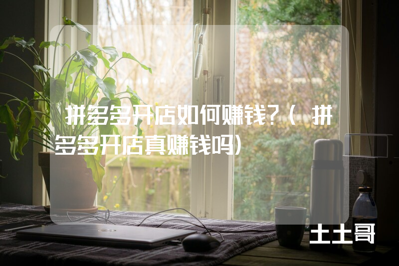 拼多多开店如何赚钱?(拼多多开店真赚钱吗) 拼多多开店如何赚钱?(拼多多开店真赚钱吗)