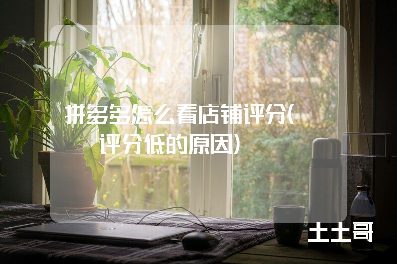 拼多多怎么看店铺评分(DSR评分低的原因) 拼多多怎么看店铺评分(DSR评分低的原因)