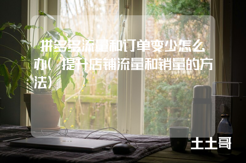 拼多多流量和订单变少怎么办(提升店铺流量和销量的方法) 拼多多流量和订单变少怎么办(提升店铺流量和销量的方法)