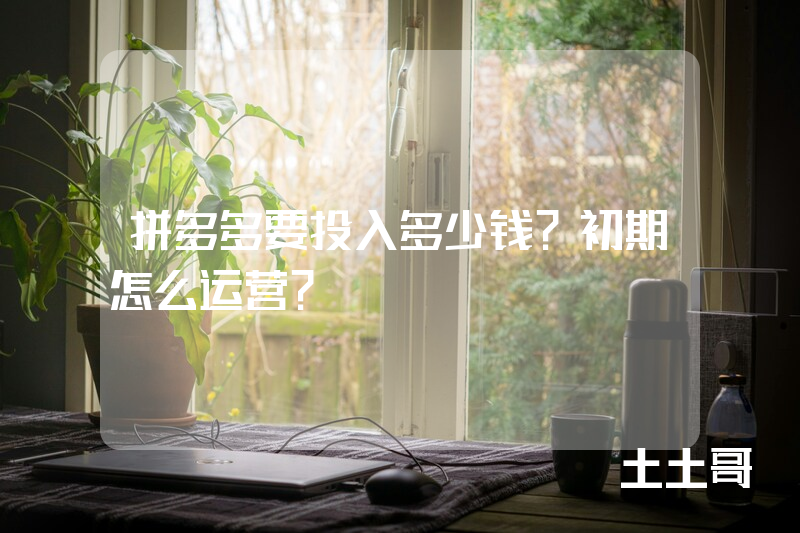 拼多多要投入多少钱?初期怎么运营? 拼多多要投入多少钱?初期怎么运营?