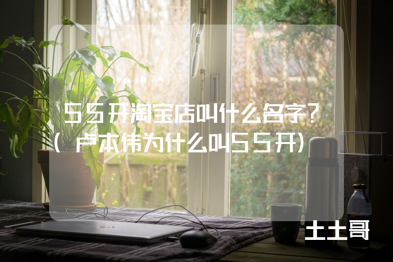 55开淘宝店叫什么名字?(卢本伟为什么叫55开) 55开淘宝店叫什么名字?(卢本伟为什么叫55开)