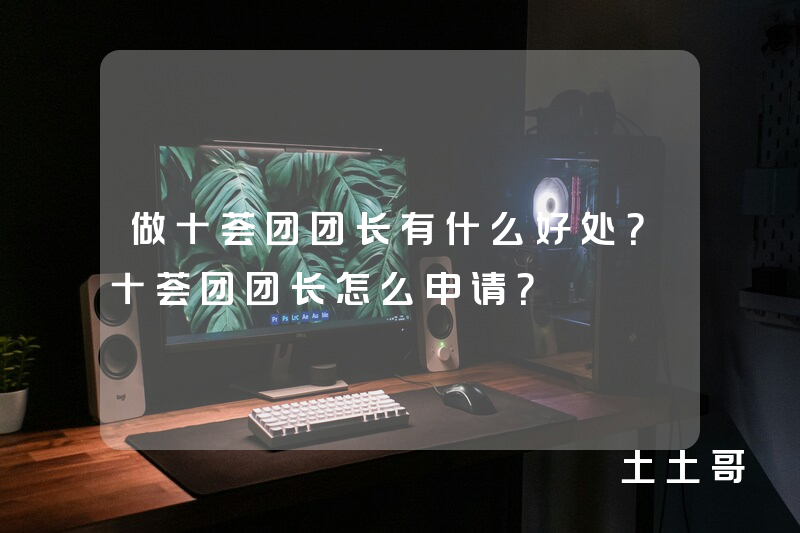 做十荟团团长有什么好处?十荟团团长怎么申请? 做十荟团团长有什么好处?十荟团团长怎么申请?