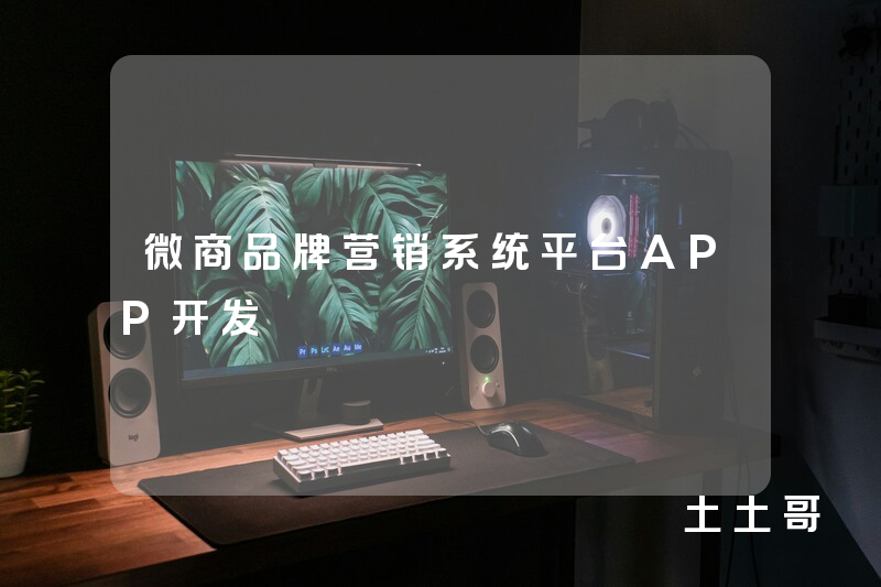 微商品牌营销系统平台APP开发 微商品牌营销系统平台APP开发
