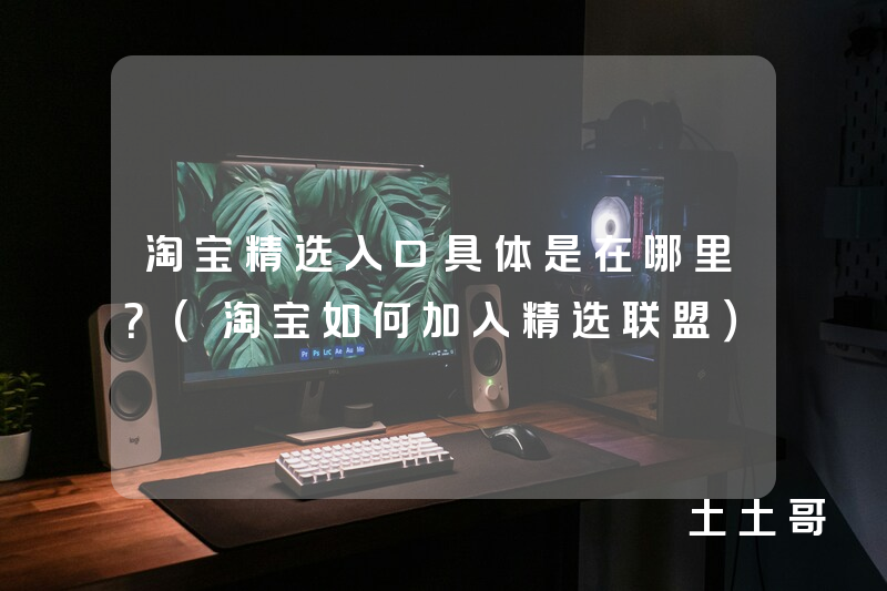 淘宝精选入口具体是在哪里?(淘宝如何加入精选联盟) 淘宝精选入口具体是在哪里?(淘宝如何加入精选联盟)