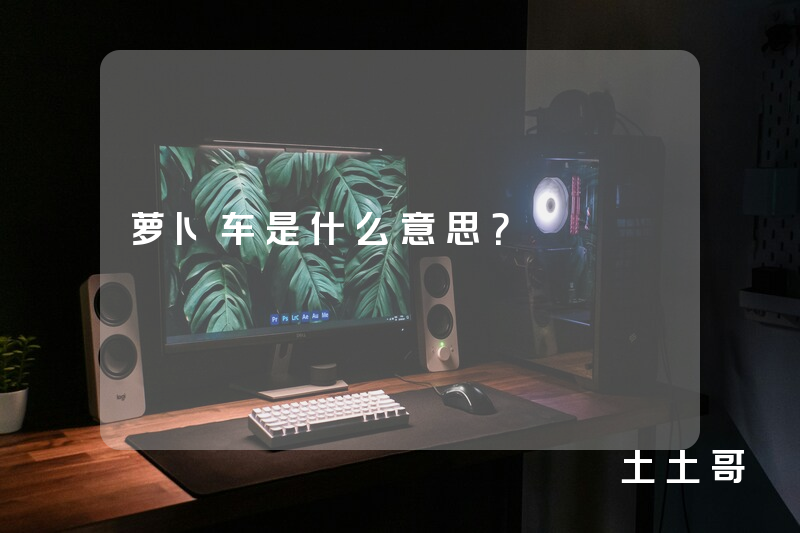 萝卜车是什么意思? 萝卜车是什么意思?