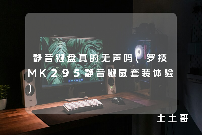 静音键盘真的无声吗(罗技MK295静音键鼠套装体验) 静音键盘真的无声吗(罗技MK295静音键鼠套装体验)