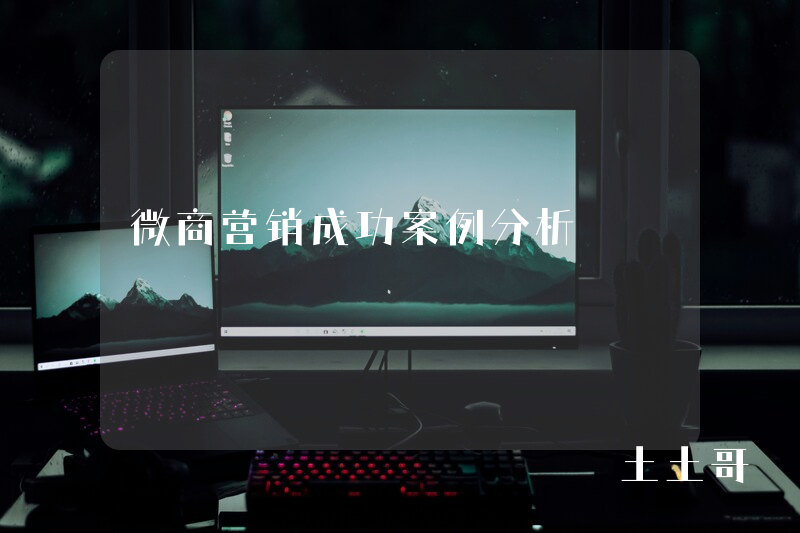 微商营销成功案例分析 微商营销成功案例分析