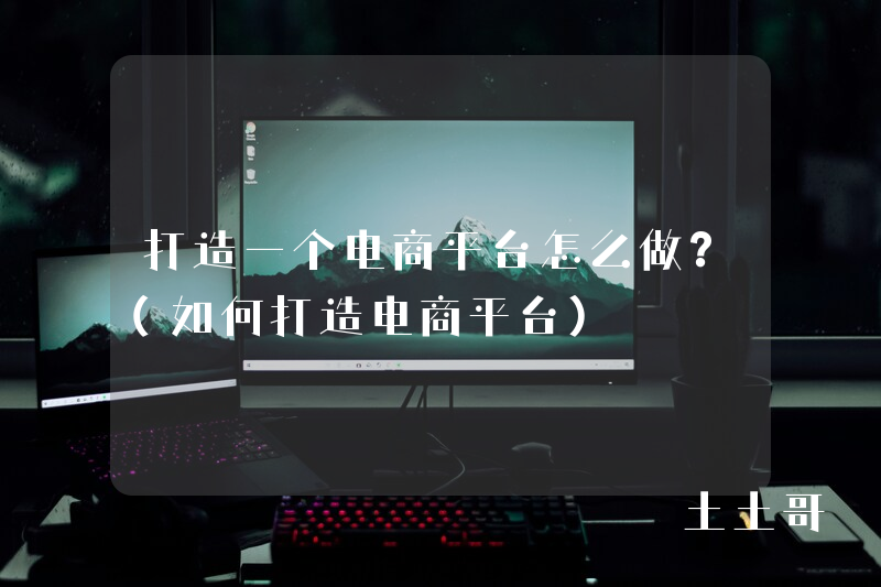 打造一个电商平台怎么做?(如何打造电商平台) 打造一个电商平台怎么做?(如何打造电商平台)