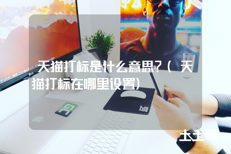 天猫打标是什么意思?(天猫打标在哪里设置) 天猫打标是什么意思?(天猫打标在哪里设置)