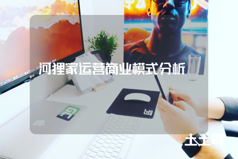 河狸家运营商业模式分析 河狸家运营商业模式分析