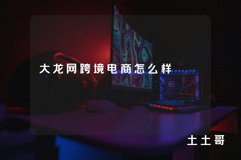 大龙网跨境电商怎么样 大龙网跨境电商怎么样
