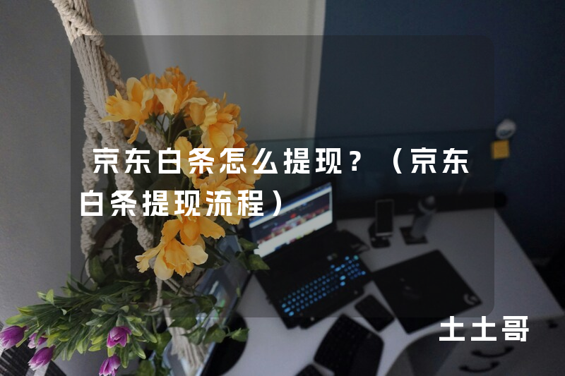 京东白条怎么提现?(京东白条提现流程) 京东白条怎么提现?(京东白条提现流程)