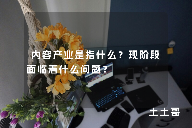 内容产业是指什么?现阶段面临着什么问题? 内容产业是指什么?现阶段面临着什么问题?