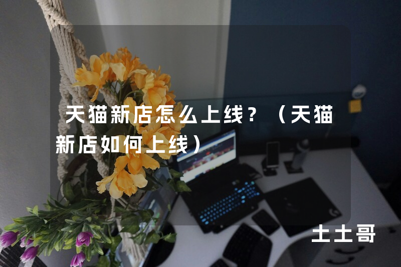 天猫新店怎么上线?(天猫新店如何上线) 天猫新店怎么上线?(天猫新店如何上线)