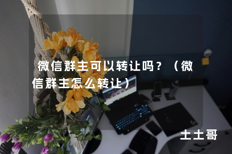 微信群主可以转让吗?(微信群主怎么转让) 微信群主可以转让吗?(微信群主怎么转让)