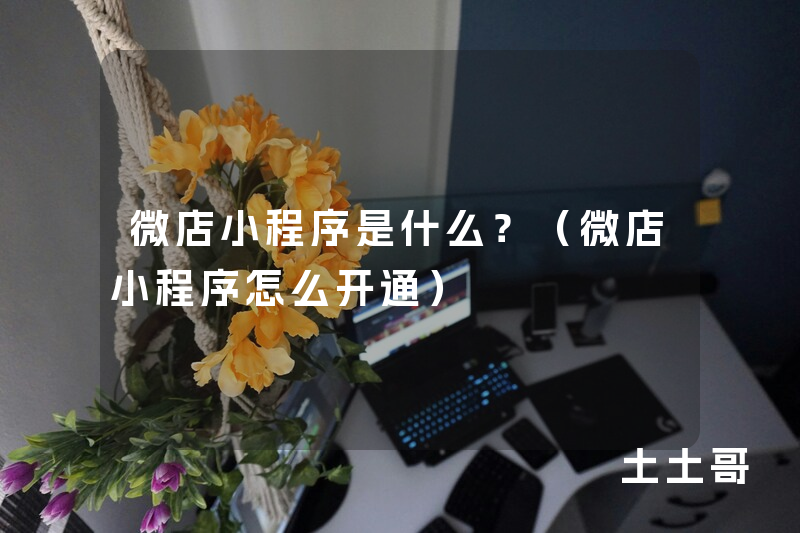 微店小程序是什么?(微店小程序怎么开通) 微店小程序是什么?(微店小程序怎么开通)