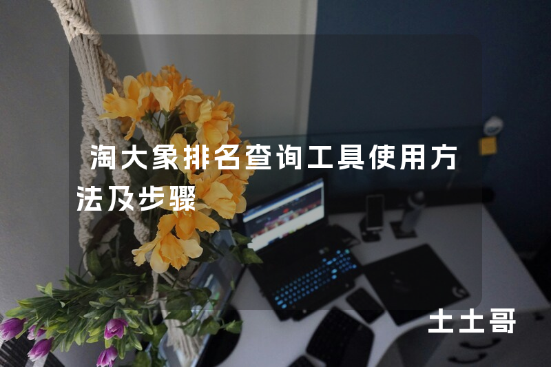 淘大象排名查询工具使用方法及步骤 淘大象排名查询工具使用方法及步骤