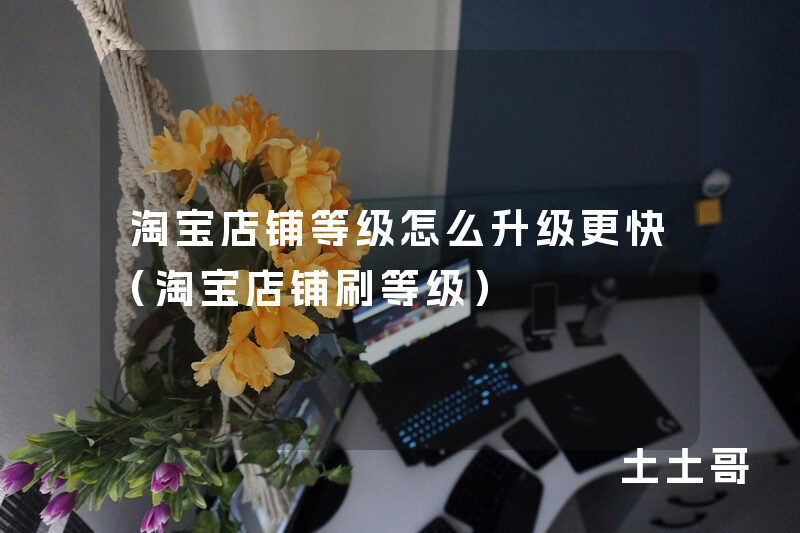 淘宝店铺等级怎么升级更快(淘宝店铺刷等级) 淘宝店铺等级怎么升级更快(淘宝店铺刷等级)