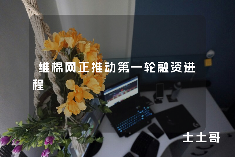 维棉网正推动第一轮融资进程 维棉网正推动第一轮融资进程