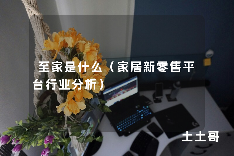 至家是什么(家居新零售平台行业分析) 至家是什么(家居新零售平台行业分析)