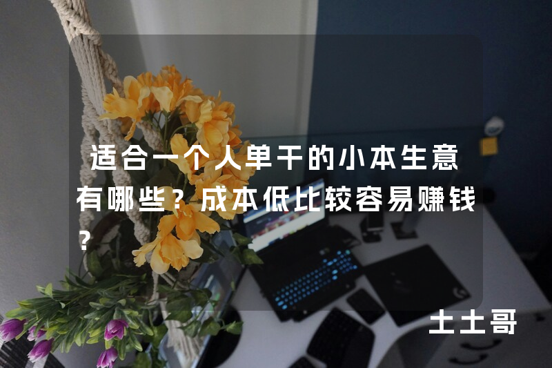 适合一个人单干的小本生意有哪些?成本低比较容易赚钱? 适合一个人单干的小本生意有哪些?成本低比较容易赚钱?