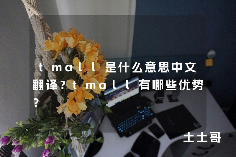 tmall是什么意思中文翻译?tmall有哪些优势? tmall是什么意思中文翻译?tmall有哪些优势?