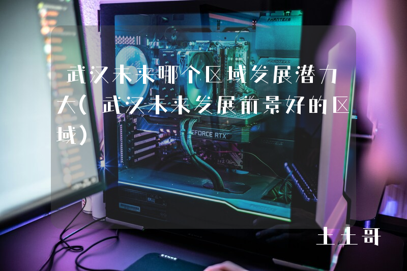 武汉未来哪个区域发展潜力大(武汉未来发展前景好的区域) 武汉未来哪个区域发展潜力大(武汉未来发展前景好的区域)
